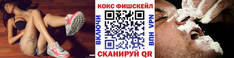 Купить закладки  Горбатов  Cocaine Fish Scale 