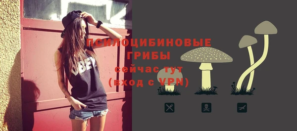 гидра Киренск
