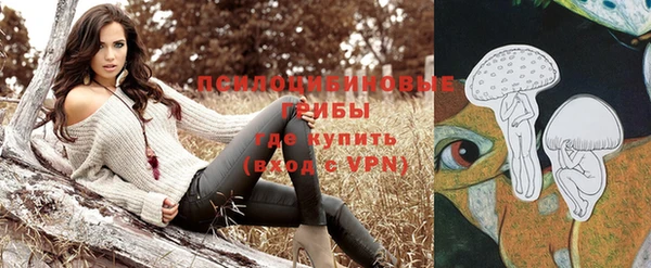 ешки Кинешма