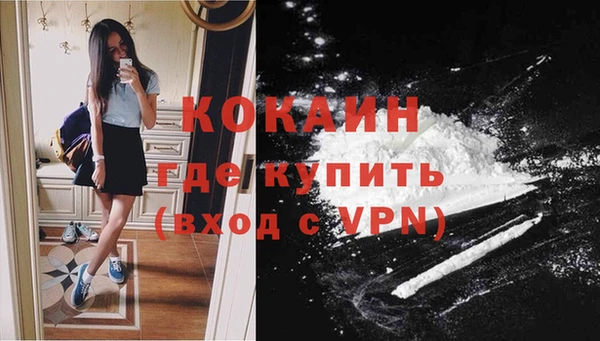 сатива Киреевск