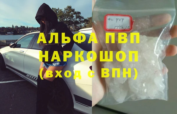 гидра Киренск
