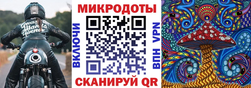 Купить где  Горбатов  Галлюциногенные грибы Psilocybe 